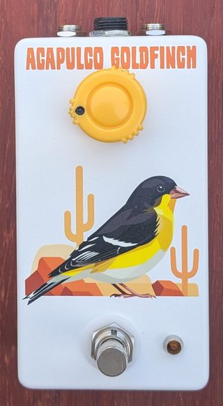 Acapulco Goldfinch