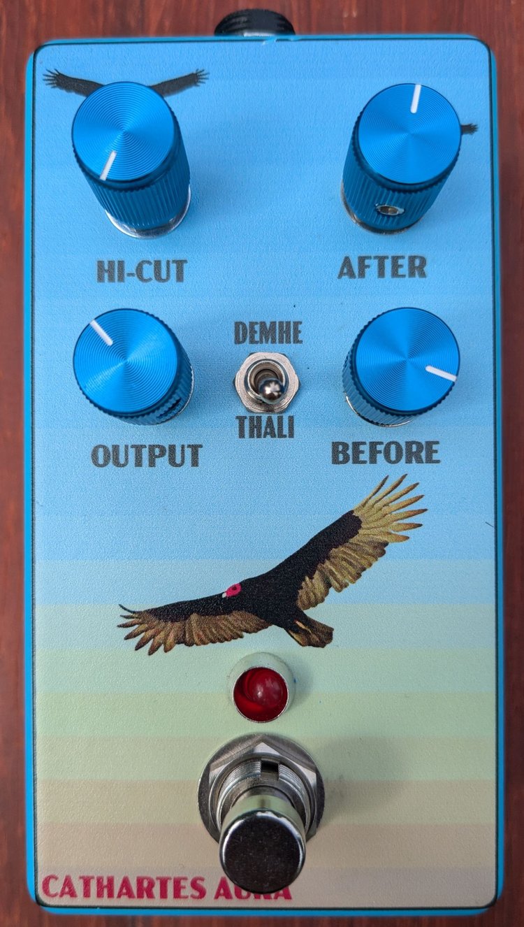 Cathartes Aura front