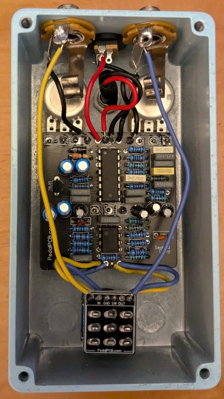 Indigo Delay guts