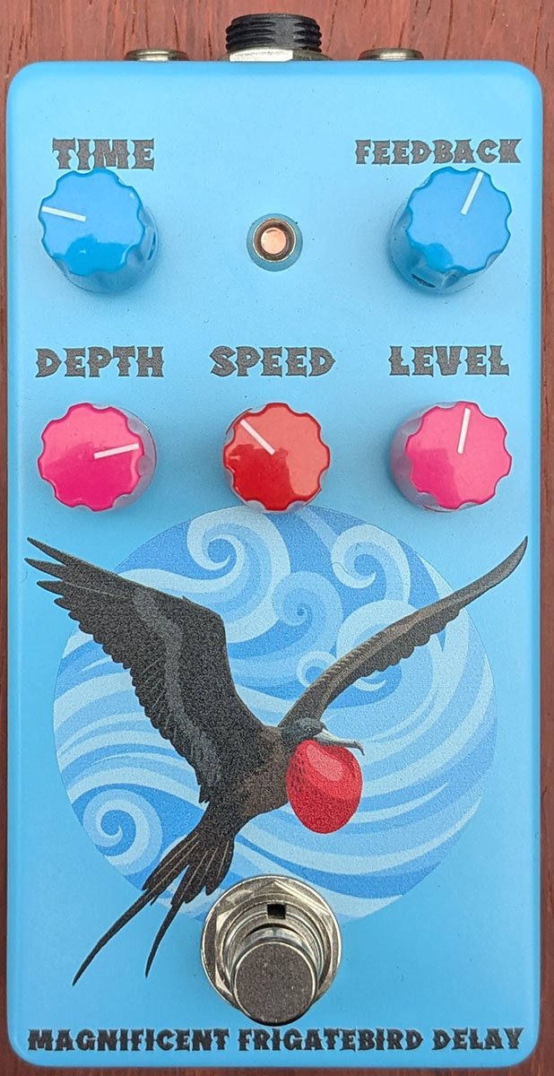 Magnificent Frigatebird Delay front