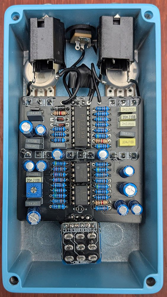 Magnificent Frigatebird Delay guts