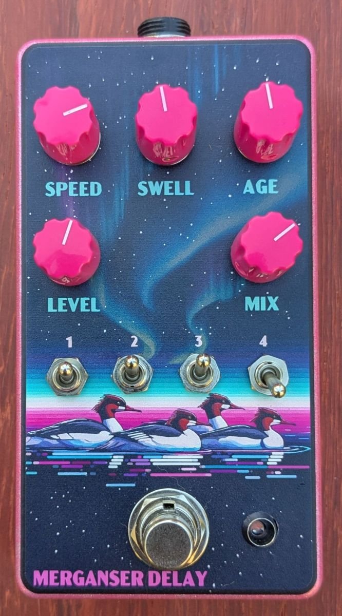 Merganser Delay front