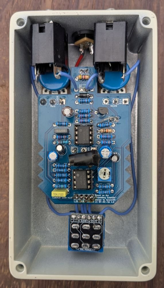 Pacific Loon Tremolo guts