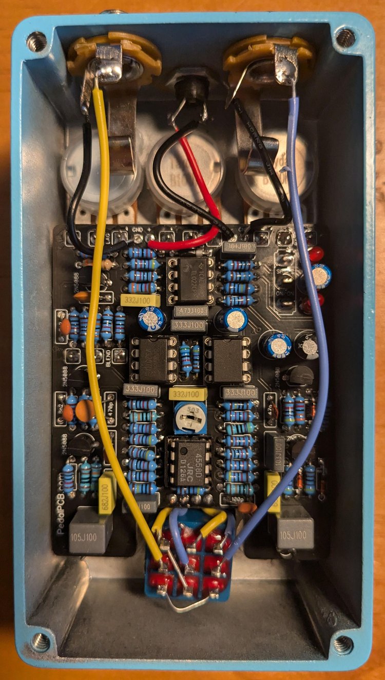 Pelagia guts