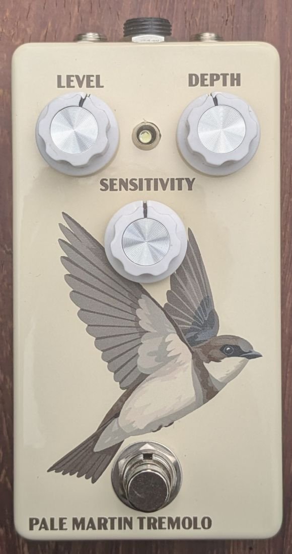 Purple Martin Chorus front