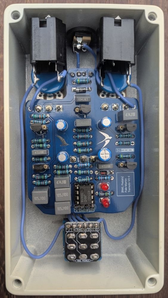 Purple Martin Chorus guts