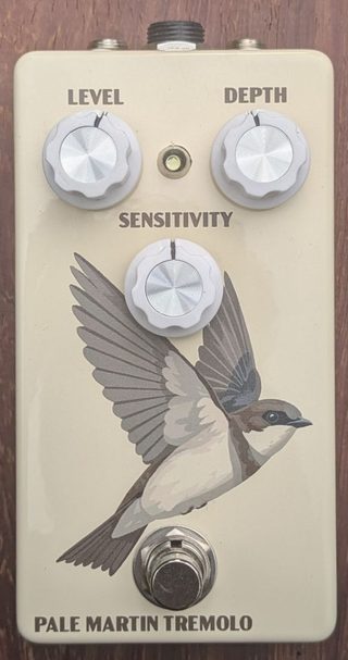 Purple Martin Chorus