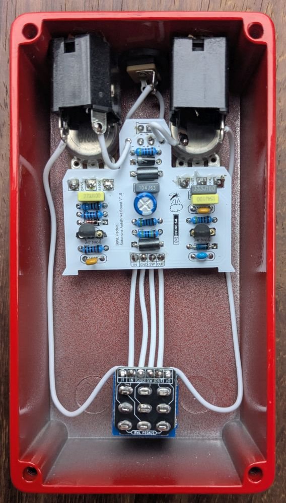 Saturnine Antshrike Boost guts