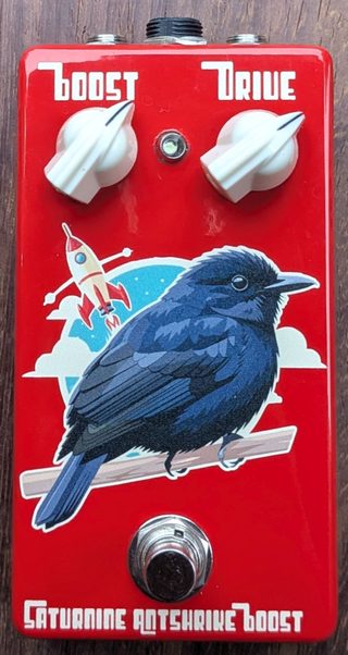 Saturnine Antshrike Boost
