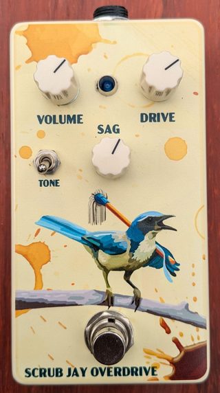 Scrub Jay Overdrive