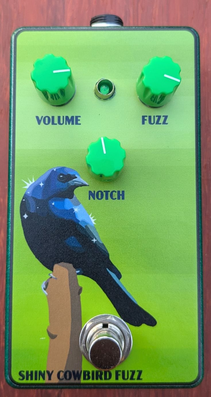 Shiny Cowbird Fuzz front