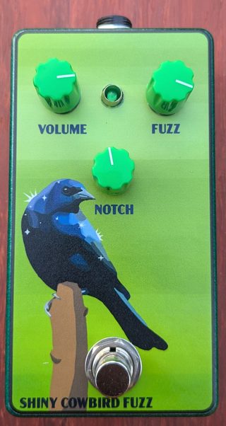 Shiny Cowbird Fuzz