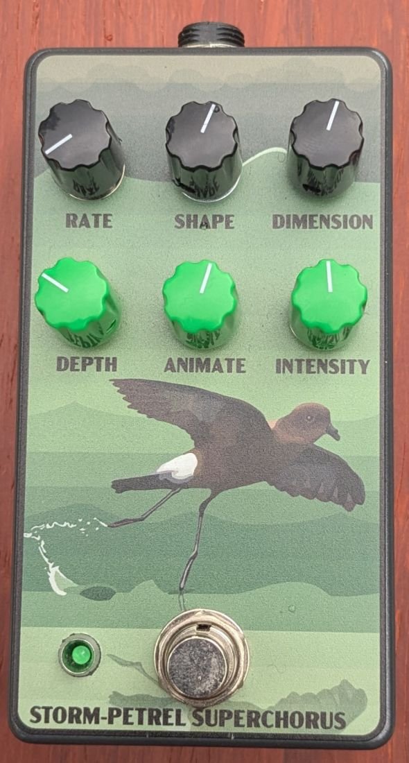 Storm-Petrel Superchorus front