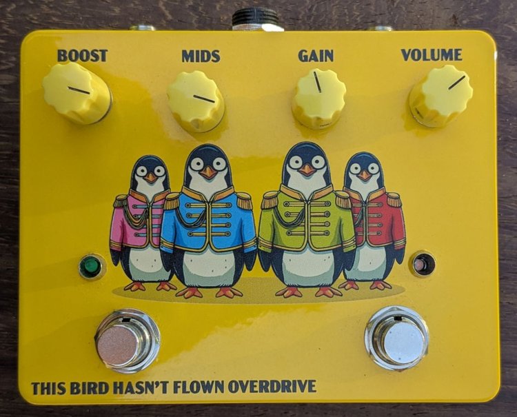 This Bird Hasn't Flown Overdrive front