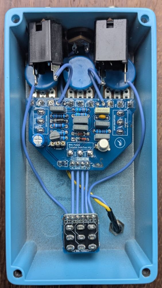 Trumpeter Swan Fuzz guts