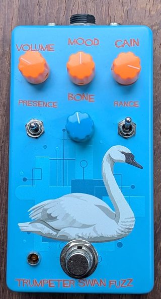 Trumpeter Swan Fuzz
