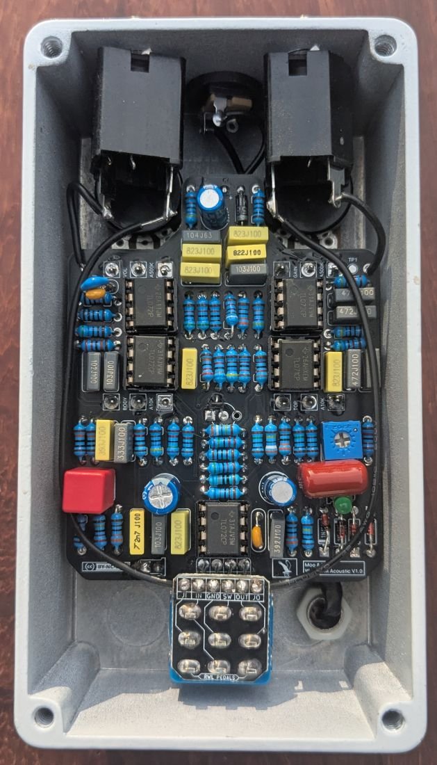 Wood Owl Acoustic guts
